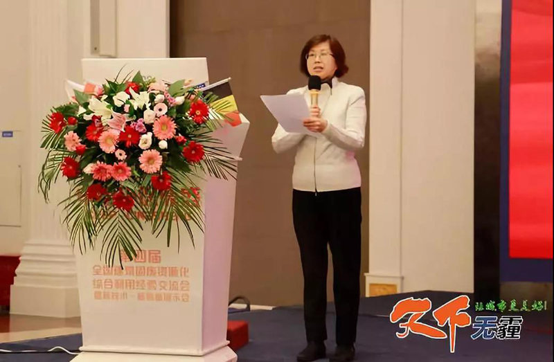 点点体育官网