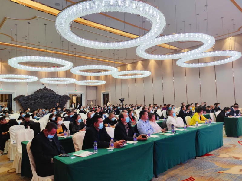 西安taptap点点总经理胡漪参会
