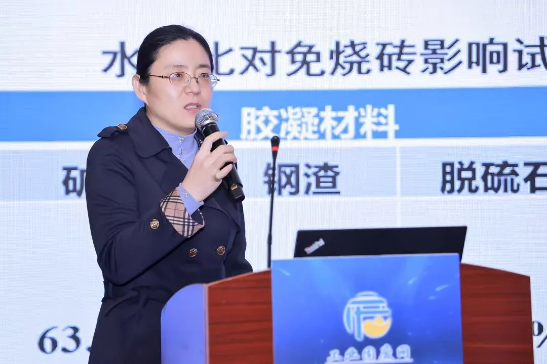 第八届京津冀工业固废高层论坛在京落幕：共筑绿色发展新格局，培育新质生产力
