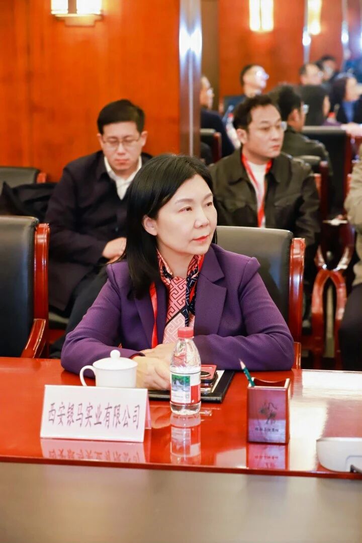 西安银马参加煤碳资源型城市煤矸石百千万吨级产业化项目技术方案精准对接会