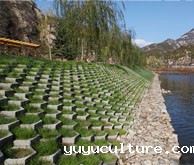 水利水工护坡砖系列